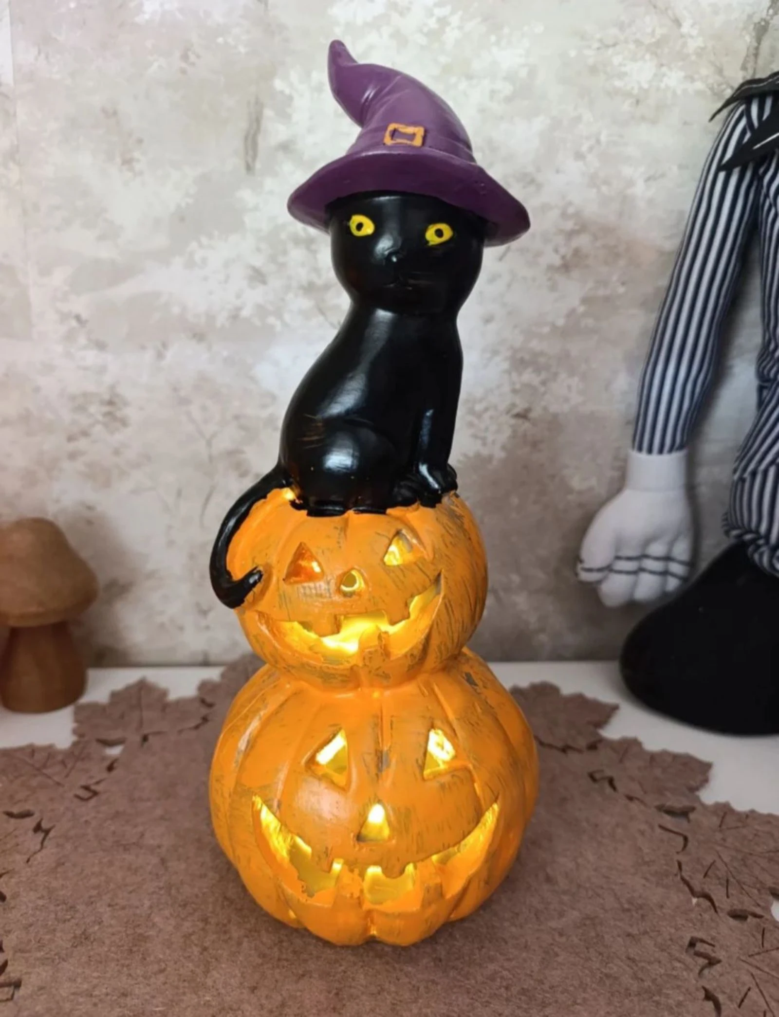Pompoenen met kat – photo 2
